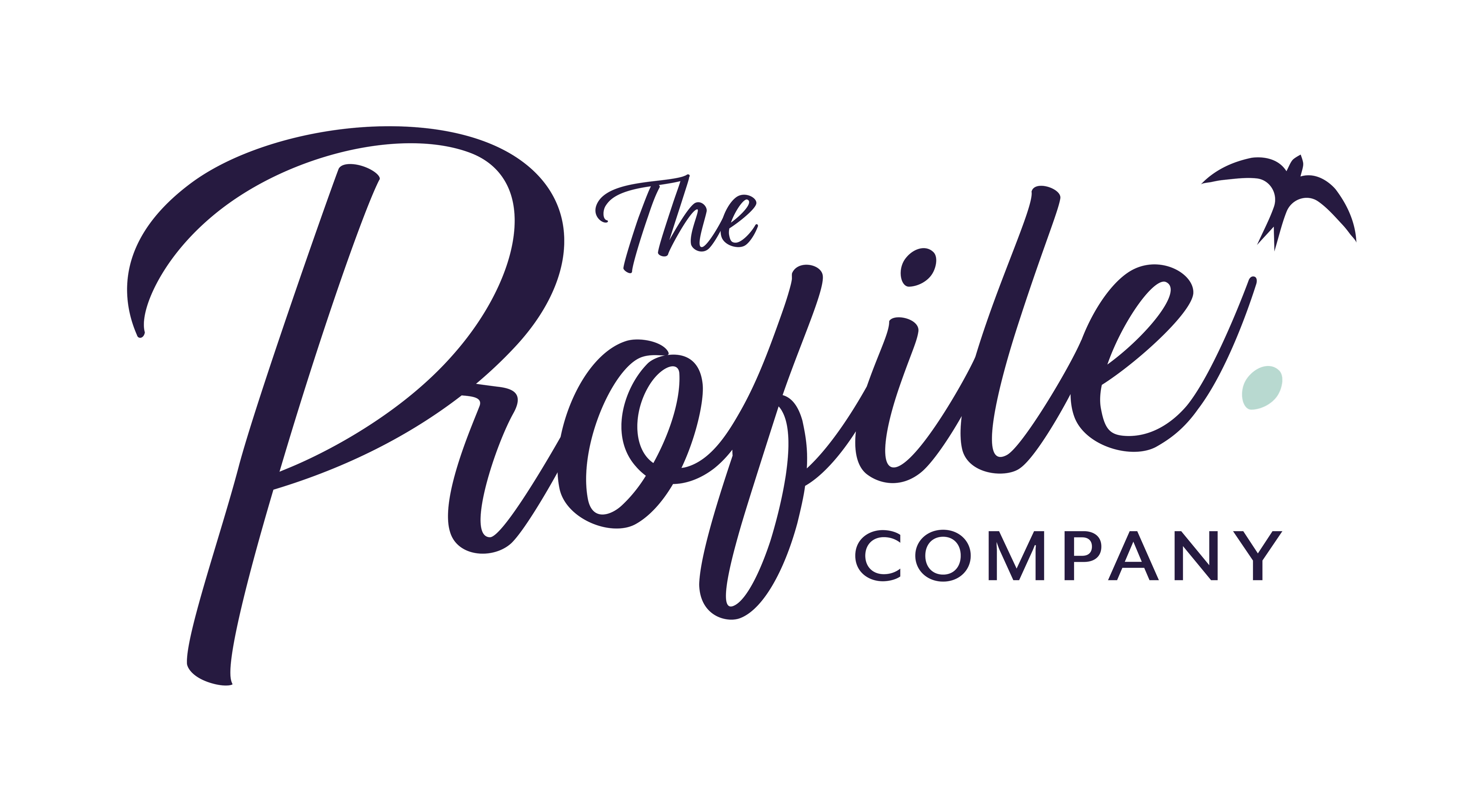 The Profile Company